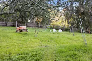 42 Grove St, San Rafael, CA 94901 - Photo 45