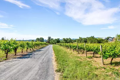 1100 Lytton Springs Road, Healdsburg, CA 95448 - Photo 9