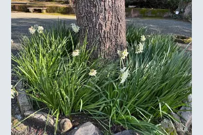 3680 Calistoga Road, Santa Rosa, CA 95404 - Photo 21