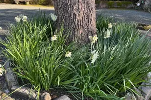 3680 Calistoga Rd, Santa Rosa, CA 95404 - Photo 21