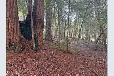 27369 Bear Drive, Willits, CA 95490 - Photo 3