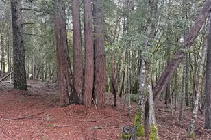 27369 Bear Dr, Willits, CA 95490 - Photo 1