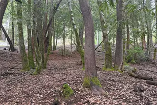 27369 Bear Dr, Willits, CA 95490 - Photo 1