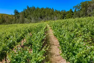 2131 Foothill Blvd, Calistoga, CA 94515 - Photo 23