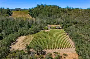 2131 Foothill Blvd, Calistoga, CA 94515 - Photo 21