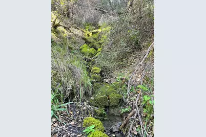 21165 Tomki Road, Redwood Valley, CA 95470 - Photo 13