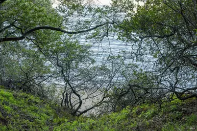 2800 Paradise Drive, Tiburon, CA 94920 - Photo 27