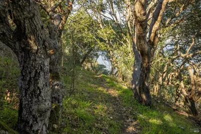 2800 Paradise Drive, Tiburon, CA 94920 - Photo 23