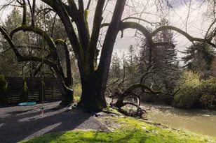 201 Silverado Trail, Saint Helena, CA 94574 - Photo 31