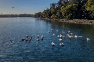 5740 Sunrise Dr, Lower Lake, CA 95457 - Photo 73