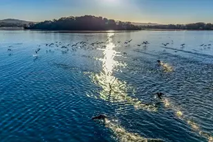 5740 Sunrise Dr, Lower Lake, CA 95457 - Photo 75