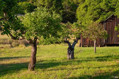 1801 Hwy 128, Philo, CA 95466 - Photo 53