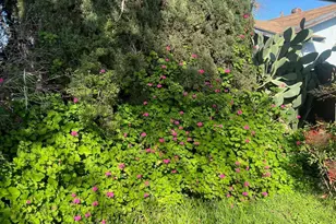 1850 San Juan St, Fairfield, CA 94533 - Photo 7