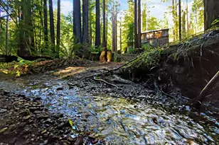 16125 Bittner Rd, Occidental, CA 95465 - Photo 1