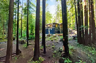 16125 Bittner Rd, Occidental, CA 95465 - Photo 3