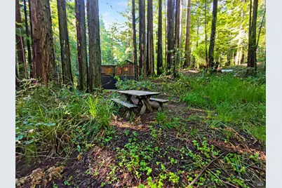 16125 Bittner Road, Occidental, CA 95465 - Photo 15