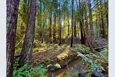 16125 Bittner Road, Occidental, CA 95465 - Photo 29