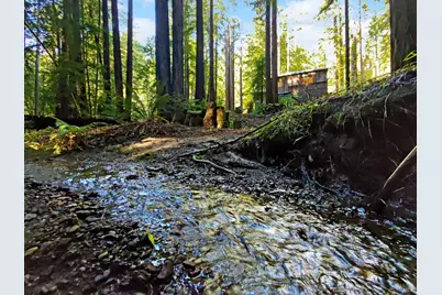 16125 Bittner Road, Occidental, CA 95465 - Photo 3