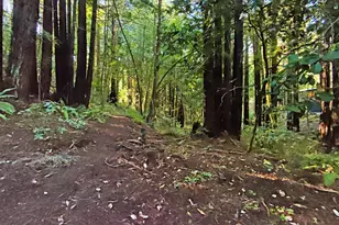 16125 Bittner Rd, Occidental, CA 95465 - Photo 7