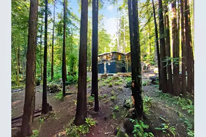 16125 Bittner Road, Occidental, CA 95465 - Photo 5