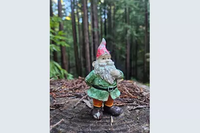 16125 Bittner Road, Occidental, CA 95465 - Photo 31