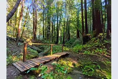 16125 Bittner Road, Occidental, CA 95465 - Photo 5