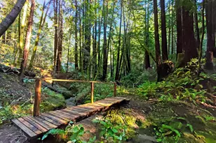 16125 Bittner Rd, Occidental, CA 95465 - Photo 5