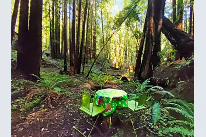 16125 Bittner Road, Occidental, CA 95465 - Photo 11