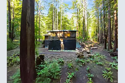 16125 Bittner Road, Occidental, CA 95465 - Photo 11