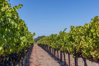 3000 River Road, Windsor, CA 95492 - Photo 3