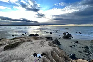 75 Ocean View Ave, Dillon Beach, CA 94929 - Photo 21