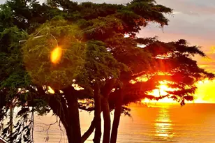 75 Ocean View Ave, Dillon Beach, CA 94929 - Photo 23