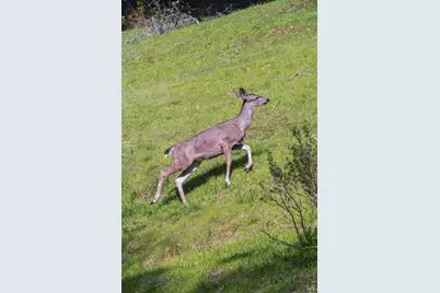 11 Badger Court, Novato, CA 94949 - Photo 63