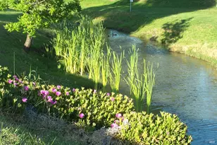 102 Royal Oak Ct, Fairfield, CA 94533 - Photo 45