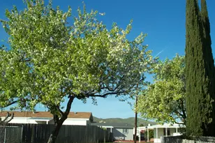 102 Royal Oak Ct, Fairfield, CA 94533 - Photo 47