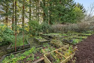 1417 Deer Ln, Sebastopol, CA 95472 - Photo 41