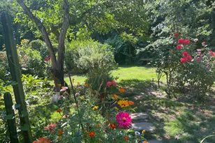 1417 Deer Ln, Sebastopol, CA 95472 - Photo 49