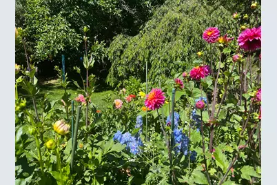 1417 Deer Lane, Sebastopol, CA 95472 - Photo 45