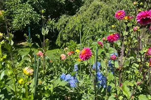 1417 Deer Ln, Sebastopol, CA 95472 - Photo 45