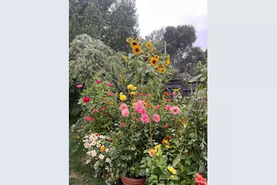 1417 Deer Lane, Sebastopol, CA 95472 - Photo 53