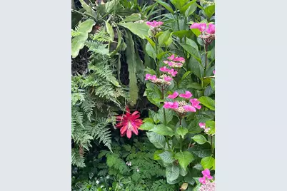 1417 Deer Lane, Sebastopol, CA 95472 - Photo 47