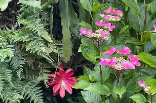 1417 Deer Ln, Sebastopol, CA 95472 - Photo 47