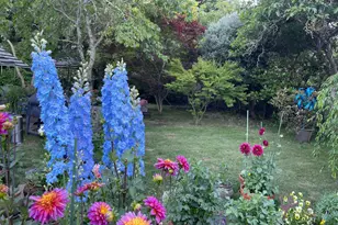 1417 Deer Ln, Sebastopol, CA 95472 - Photo 55