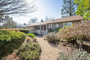 311 Las Flores Ave, San Rafael, CA 94903 - Photo 3