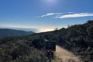 70 Madrone Park Cir, Mill Valley, CA 94941 - Photo 37