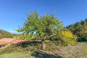 2300 Brack Rd, Healdsburg, CA 95448 - Photo 31