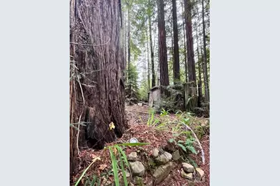 46251 Pacific Woods Road, Gualala, CA 95445 - Photo 3