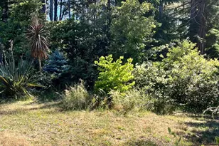 46251 Pacific Woods Rd, Gualala, CA 95445 - Photo 1