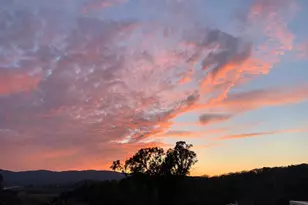 40 Green Point Ln, Novato, CA 94945 - Photo 69