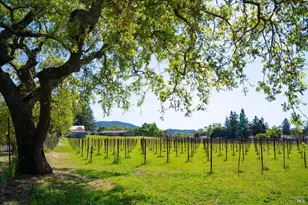 4094 E 3rd Ave, Napa, CA 94558 - Photo 27